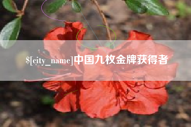 毕节中国九枚金牌获得者