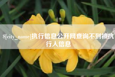 毕节执行信息公开网查询不到被执行人信息