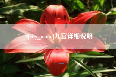毕节九宫详细说明