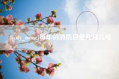 毕节每年的消防日是几月几号