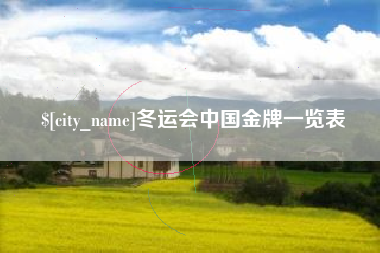 毕节冬运会中国金牌一览表