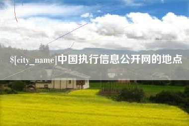 毕节中国执行信息公开网的地点