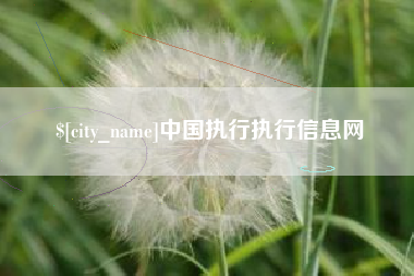 毕节中国执行执行信息网