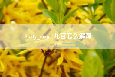 毕节九宫怎么解释