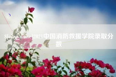 毕节2021中国消防救援学院录取分数