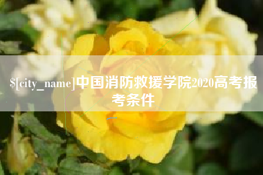 毕节中国消防救援学院2020高考报考条件