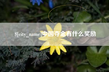 毕节中国夺金有什么奖励