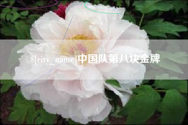 毕节中国队第八块金牌