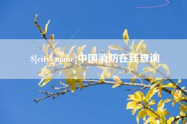 毕节中国消防在线查询