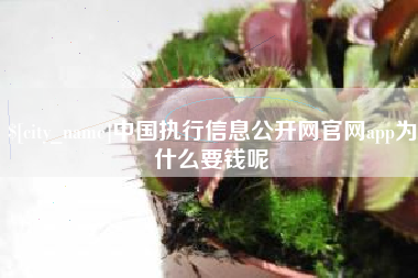 毕节中国执行信息公开网官网app为什么要钱呢