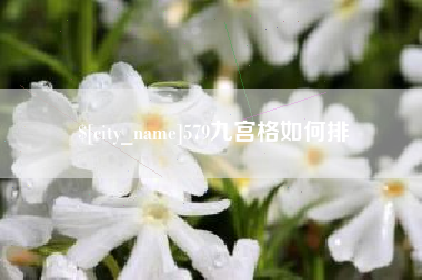 毕节579九宫格如何排