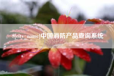 毕节中国消防产品查询系统