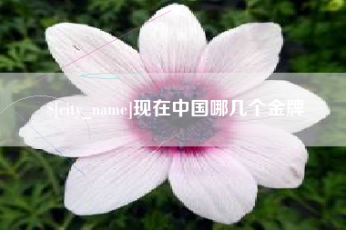 毕节现在中国哪几个金牌