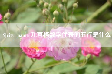 毕节九宫格数字代表的五行是什么
