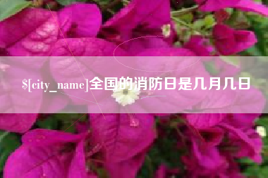 毕节全国的消防日是几月几日