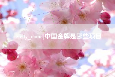 毕节中国金牌是哪些项目