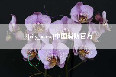 毕节中国消防官方