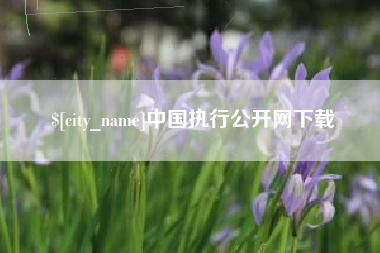 毕节中国执行公开网下载