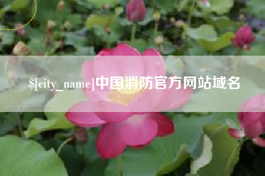 毕节中国消防官方网站域名