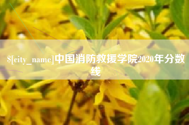 毕节中国消防救援学院2020年分数线