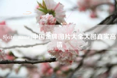 毕节中国金牌图片大全大图真实高清