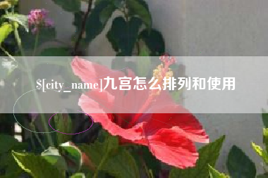 毕节九宫怎么排列和使用