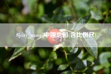 毕节中国地图(含比例尺)