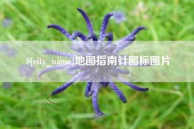 毕节地图指南针图标图片
