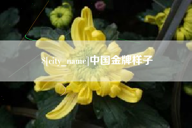 毕节中国金牌样子