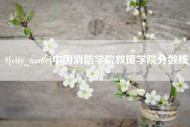 毕节中国消防学院救援学院分数线