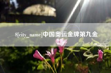 毕节中国奥运金牌第九金