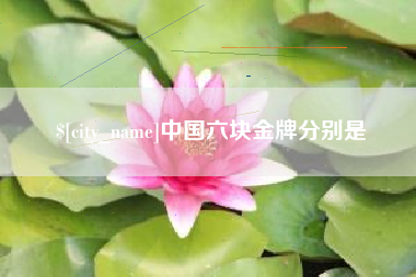 毕节中国六块金牌分别是
