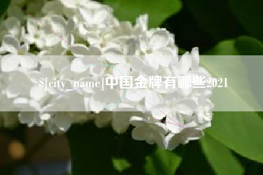 毕节中国金牌有哪些2021