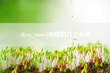 毕节中国的几个金牌