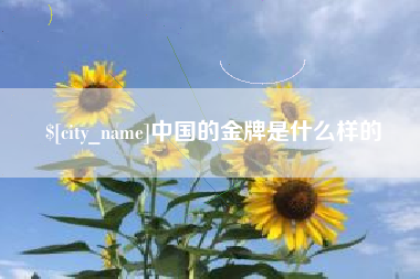 毕节中国的金牌是什么样的