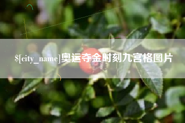 毕节奥运夺金时刻九宫格图片