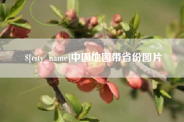 毕节中国地图带省份图片