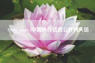 毕节中国执行信息公开网失信