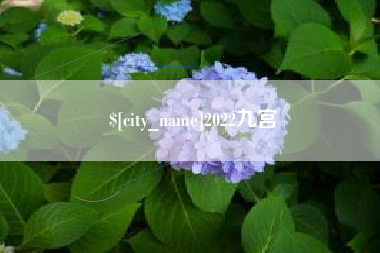 毕节2022九宫