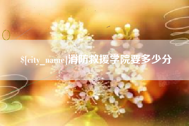 毕节消防救援学院要多少分