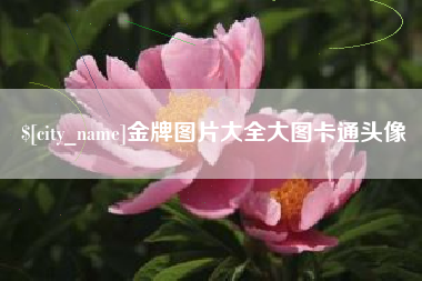 毕节金牌图片大全大图卡通头像