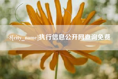 毕节执行信息公开网查询免费