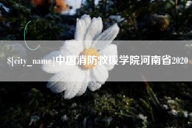 毕节中国消防救援学院河南省2020